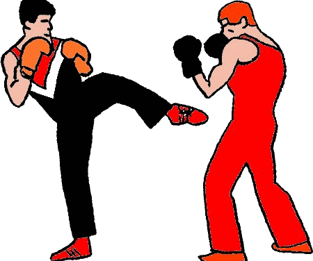 BOXE FRANCAISE SAVATE ONDAINE